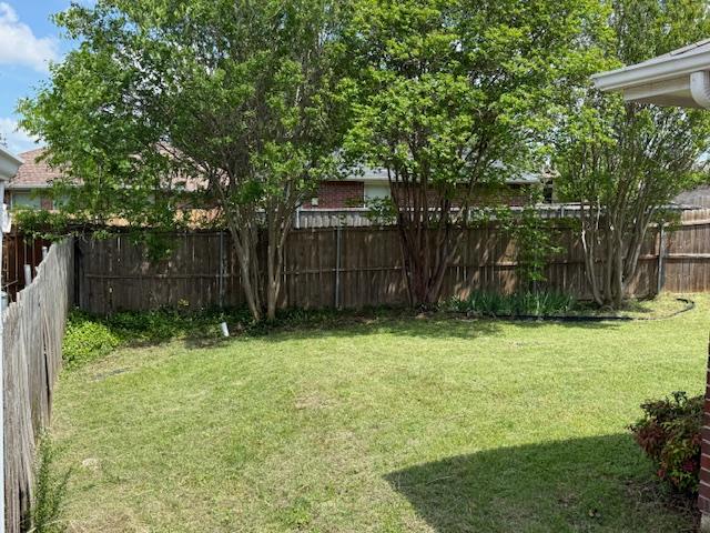 Lawn Mowing service photo