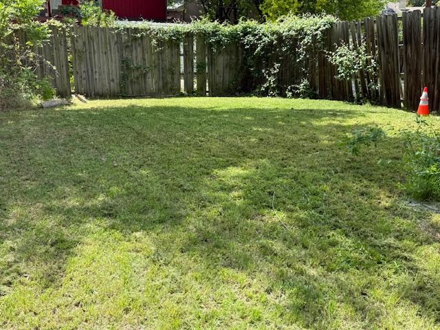 Freshly maintained backyard lawn in the Warrior Landscaping service area